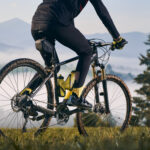 Best Beginner Mountain Bike